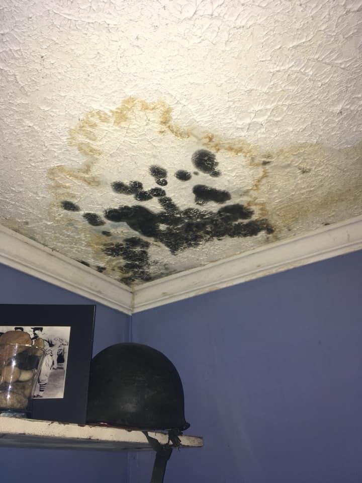 Slide of Salter's Construction