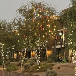 Scottsdazzle - Lights