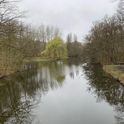 Amsterdamse Bos