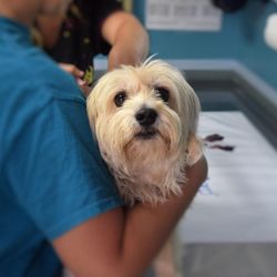 Northwest Animal Hospital