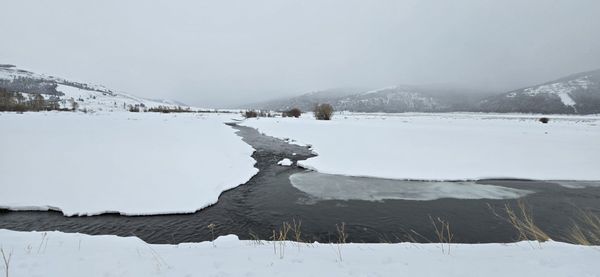 Roosevelt Arch by null