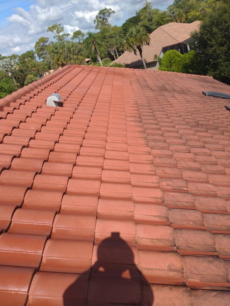 Slide of Elite Roof Cleaning