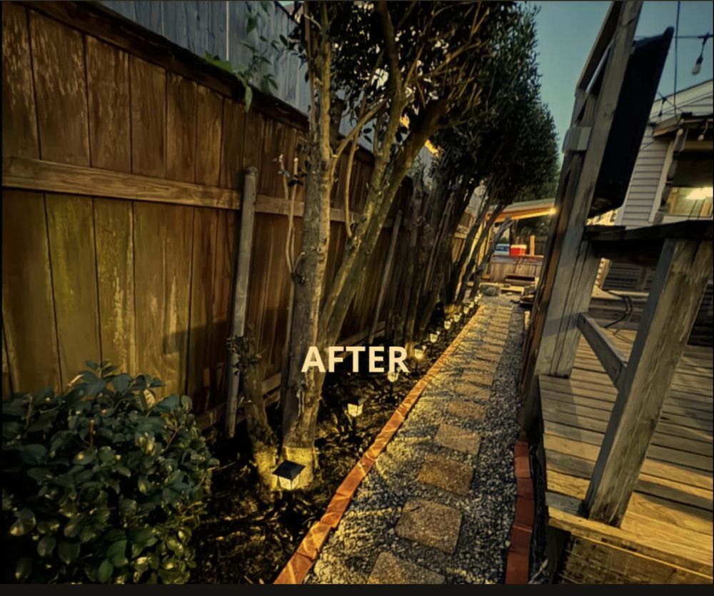 Breedlove Property Services - tree service in New Orleans, LA