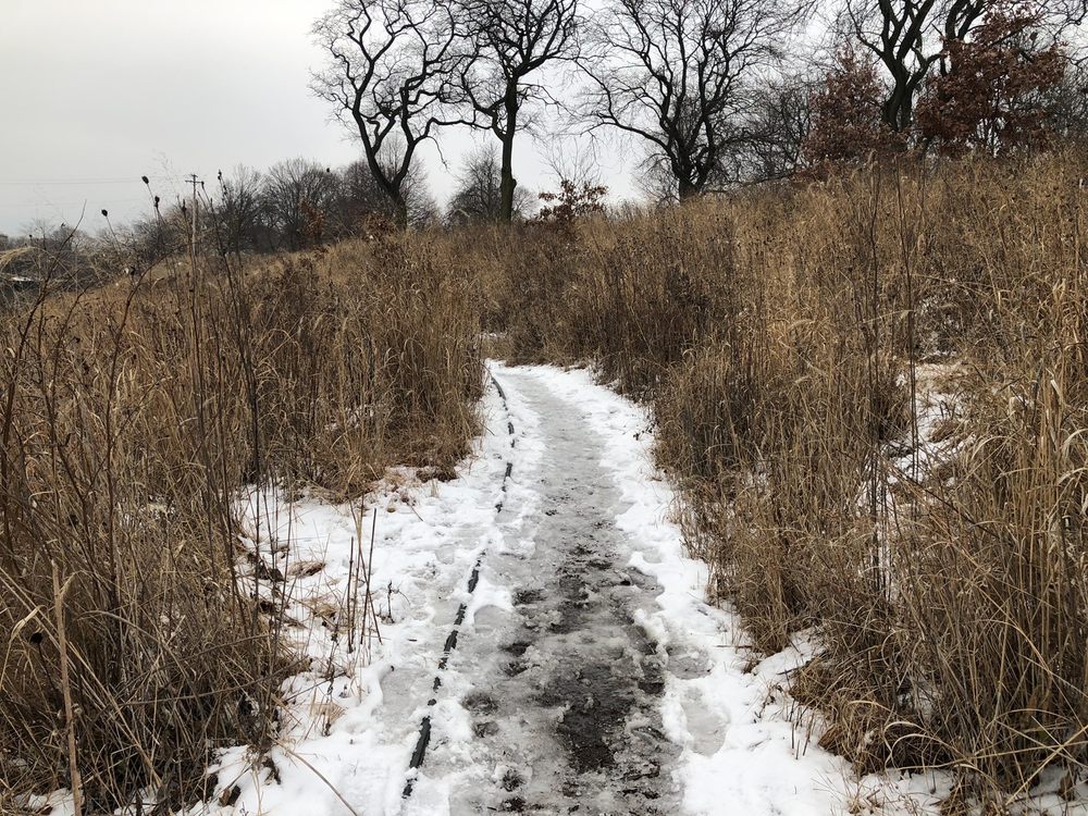 HORNER PARK Updated May 2024 92 Photos & 46 Reviews 2741 W