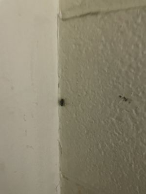 Moorestown Mall by null