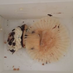 Mr. Cupcakes - Going in the garbage... Not worth the calories.