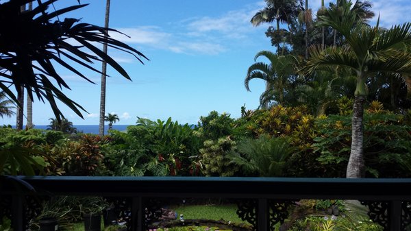 Orchid Tree Bed & Breakfast by null