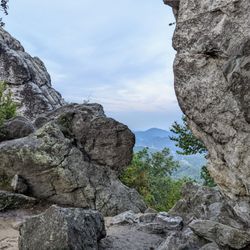 Dragon's Tooth - Instagram: @telephonesmoothie