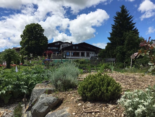 Burghotel Bären by null