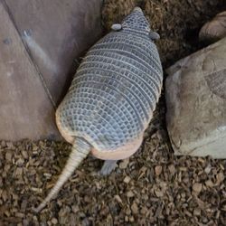 Layton Aquarium & Wildlife