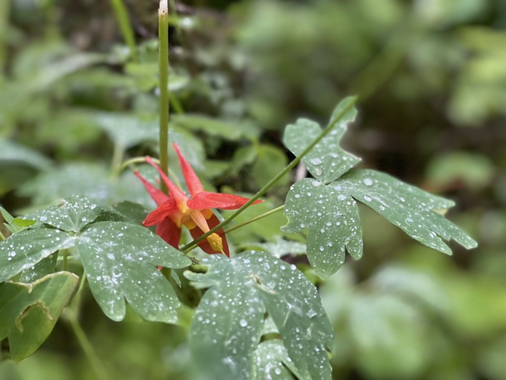 RIDGEWAY HEALTH Updated August 2024 15 Photos 1023 S Main St