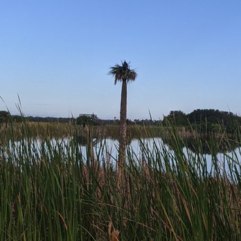Viera Wetlands - Lakes Near Me - Melbourne, Florida