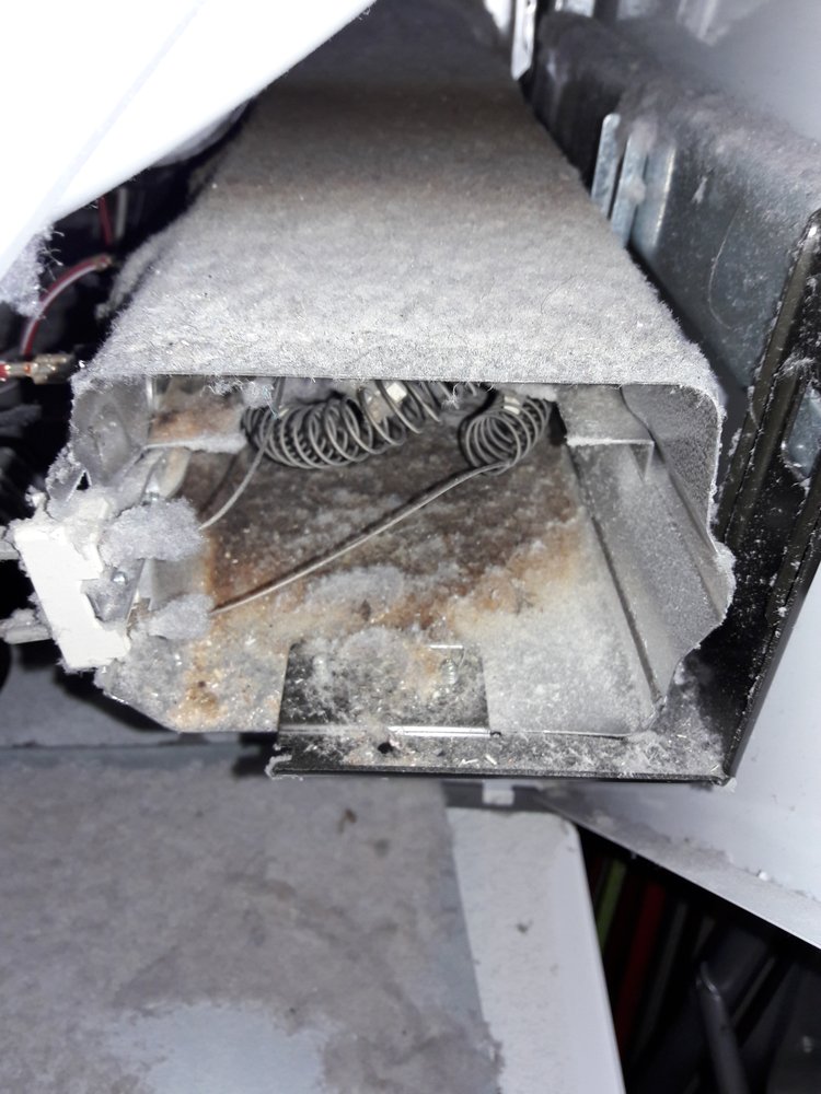 Slide of Jenalia Mechanical