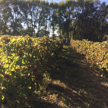 Sheehan Winery - Wine Tasting Room Near Me - Albuquerque, New Mexico