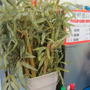 Nuoc Mia Vien Dong - Prices - Vietnamese Near Me - Rosemead, California