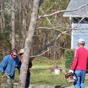 Bobby Anderson Jr Tree Service - Tree Services Near Me - Rolesville, North Carolina Bobby Anderson Jr Tree Service - Tree Services Near Me - Rolesville, North Carolina