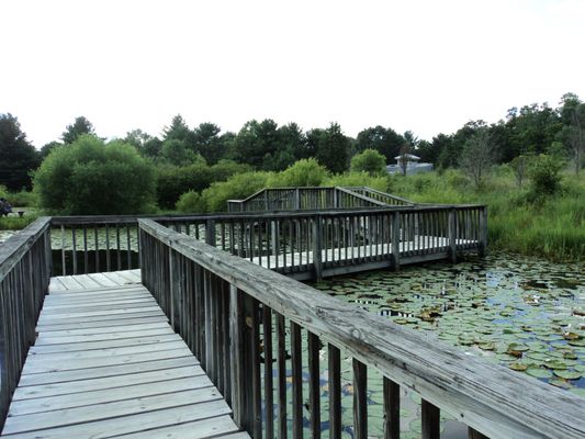 Gorman Nature Center by null