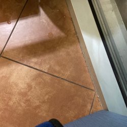 Baylor Scott & White Medical Center - Sunnyvale - Ants