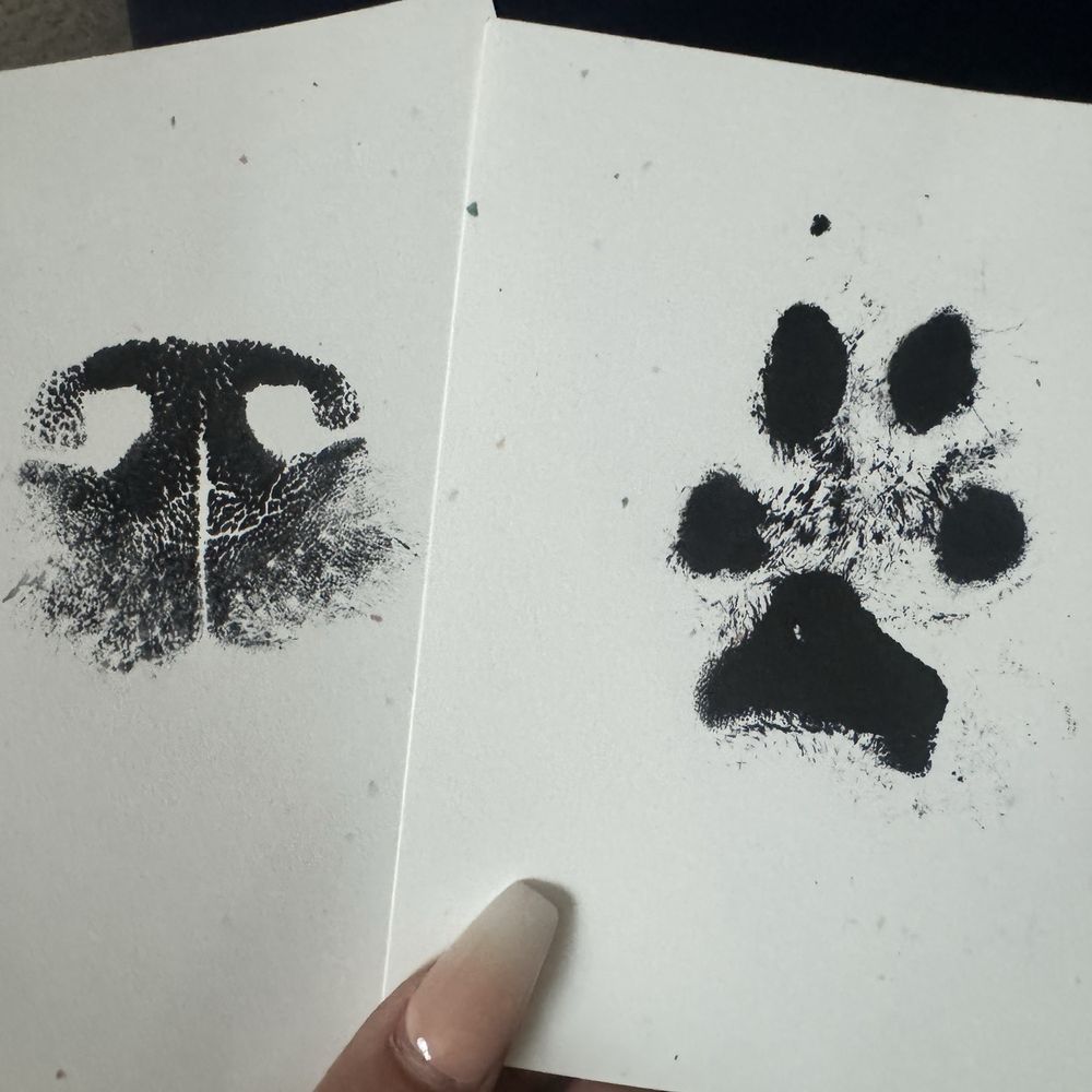 Small Paws Cremations - Pet Cremation Services Near Me - Los Angeles, California Small Paws Cremations - Pet Cremation Services Near Me - Los Angeles, California