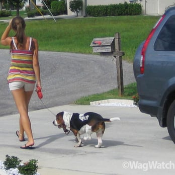 Wag Watchers - Dog Walkers Near Me - Davenport, Florida Wag Watchers - Dog Walkers Near Me - Davenport, Florida