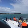 Photo of Whalesong Cruises