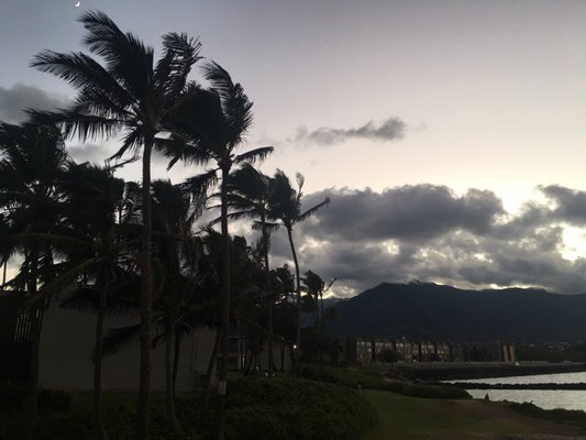 Maui Beach Hotel by null