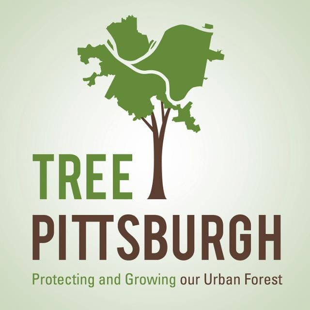 TREE PITTSBURGH Updated September 2024 32 62nd St, Pittsburgh