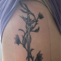 Quiet Storm Tattoo and Piercings - The tattoo I received vs