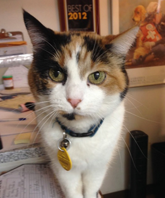 Long Lake Veterinary Clinic 1854 W Wayzata Blvd Long Lake, MN