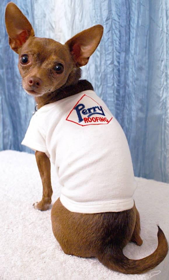 Slide of Perry Roofing