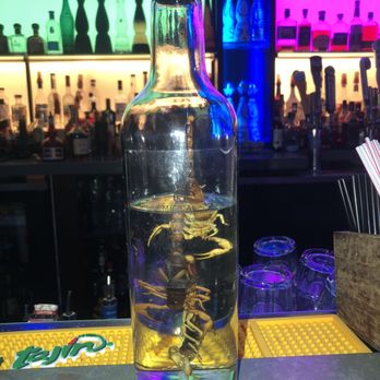 THE MIXX PASADENA with photos - Updated August 2024 - 361 Photos & 343