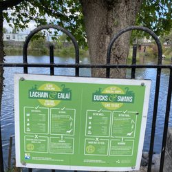Blessington Street Basin