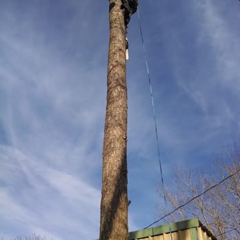Frontier Residential Tree Service - Tree Services Near Me Frontier Residential Tree Service - Tree Services Near Me