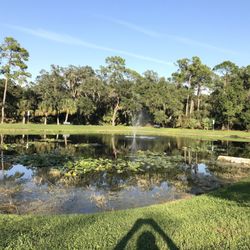 Timberlane RV Park & Resort - 1 of in the park