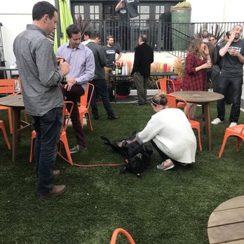 Kiva Cowork: State St - Green turf is dog friendly!! A definite necessity in Santa Barbara. - Shared Office Spaces Near Me - Santa Barbara, California Kiva Cowork: State St - Green turf is dog friendly!! A definite necessity in Santa Barbara. - Shared Office Spaces Near Me - Santa Barbara, California