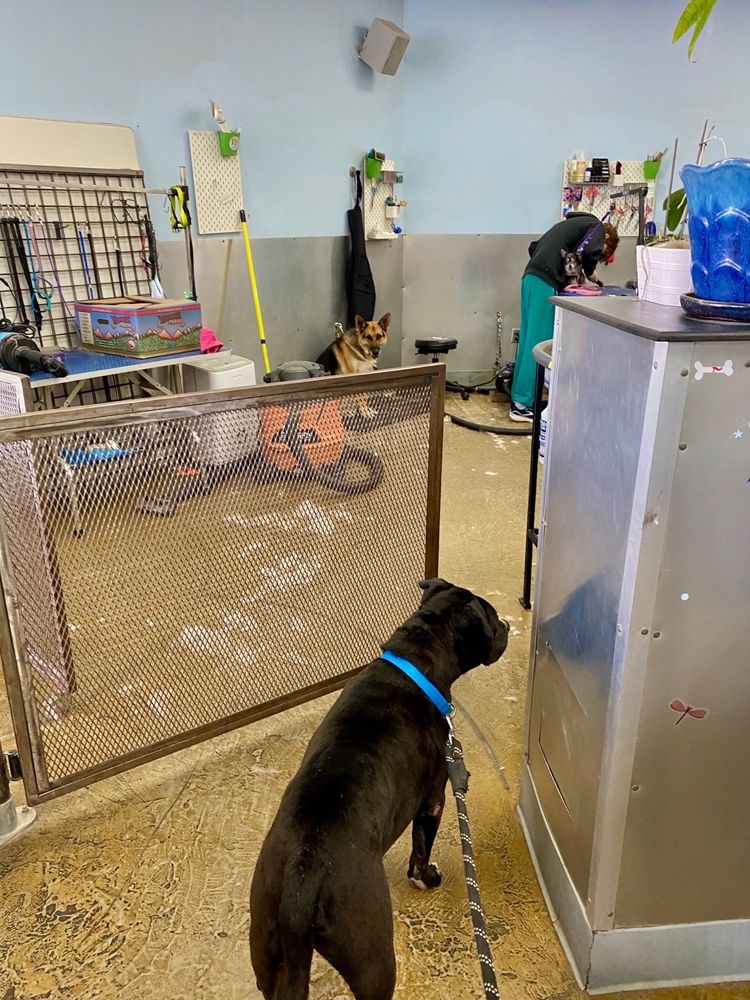 BATH & BISCUITS Updated May 2024 93 Photos & 161 Reviews 5635