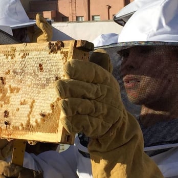 Round Rock Honey - Specialty Schools Near Me - San Francisco, California Round Rock Honey - Specialty Schools Near Me - San Francisco, California