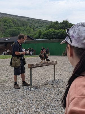 Aillwee Burren Experience by null