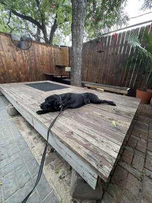 Tweedy's Bar by null