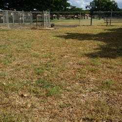 Kamila Dog Park - A bit lonely at the park today.