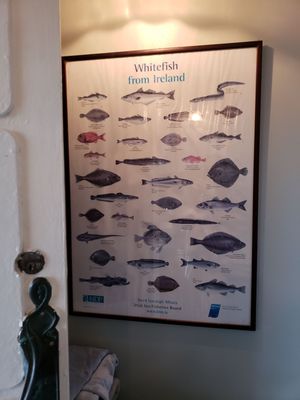 O'Gradys on the Pier by null