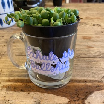 Jade & Clover - Nurseries & Gardening Near Me - Phoenix, Arizona