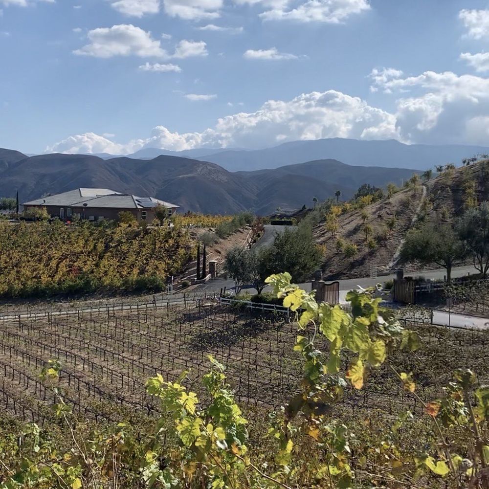 Oak Mountain Winery - Wineries Near Me - Temecula, California Oak Mountain Winery - Wineries Near Me - Temecula, California