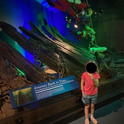 Great Lakes Shipwreck Museum - Beautiful display that gives a sense of 'depth' and accents the rest of this room (which has mostly recovered artifacts)