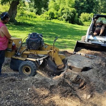 Webb's Stump Grinding And Removal - Landscaping Near Me - Olive Hill, Kentucky Webb's Stump Grinding And Removal - Landscaping Near Me - Olive Hill, Kentucky