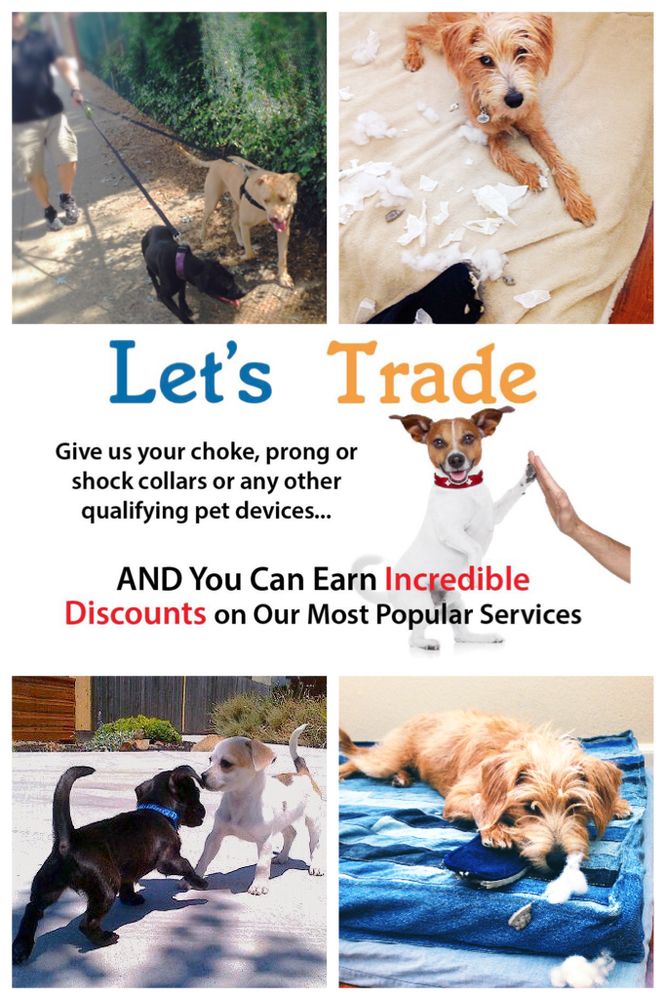 JUST PAWS TRAINING with 46 real customer photos Updated August 2024