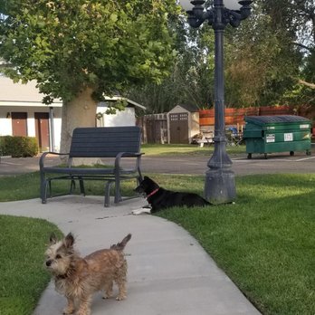 Big Pine Motel - Dog friendly!!  Pooper scooper hanging from that tree... - Hotels Near Me - Big Pine, California