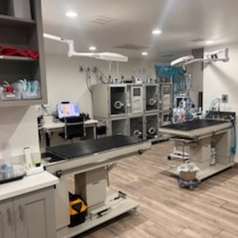 Riverside Regional Veterinary Group - Treatment area - Veterinarians Near Me - Riverside, California Riverside Regional Veterinary Group - Treatment area - Veterinarians Near Me - Riverside, California