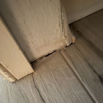 Perfect Choice Flooring - Grout not finished properly. Missing in areas. - Flooring Near Me - Tampa, Florida Perfect Choice Flooring - Grout not finished properly. Missing in areas. - Flooring Near Me - Tampa, Florida