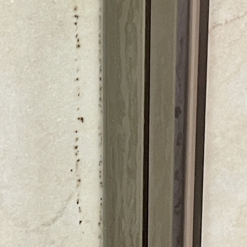Courtyard by Marriott Atlantic City Beach Block - Mold in the shower - Hotels Near Me - Atlantic City, New Jersey Courtyard by Marriott Atlantic City Beach Block - Mold in the shower - Hotels Near Me - Atlantic City, New Jersey